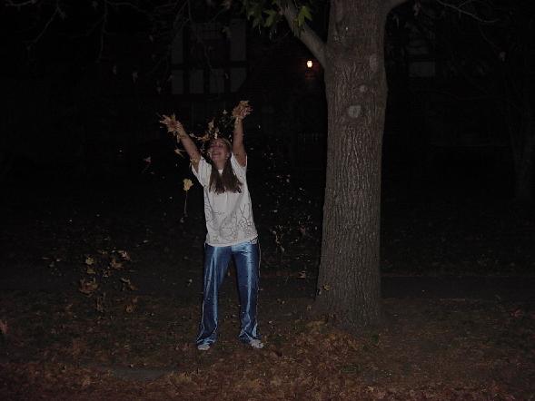 leaves.jpg